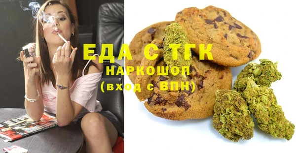 хмурый Алзамай